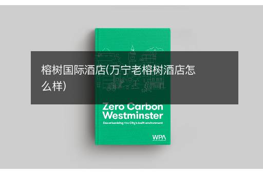 榕树国际酒店(万宁老榕树酒店怎么样)