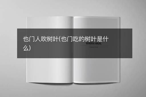也门人吹树叶(也门吃的树叶是什么)
