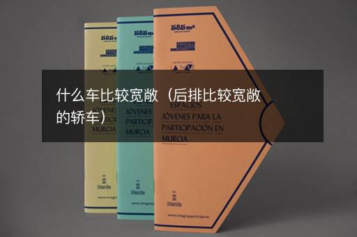 什么车比较宽敞（后排比较宽敞的轿车）