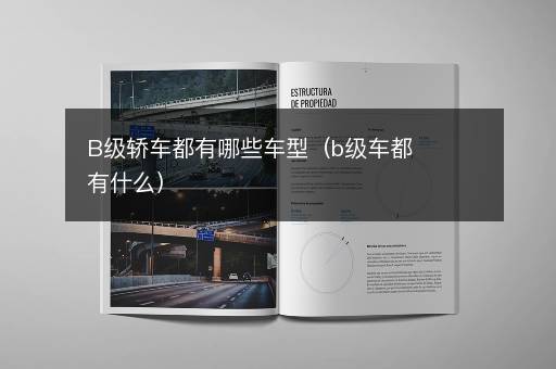 B级轿车都有哪些车型（b级车都有什么）