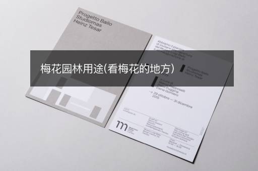 梅花园林用途(看梅花的地方)