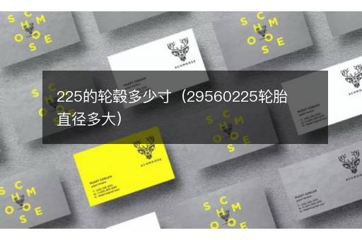 225的轮毂多少寸（29560225轮胎直径多大）