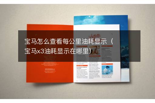 宝马怎么查看每公里油耗显示（宝马x3油耗显示在哪里）