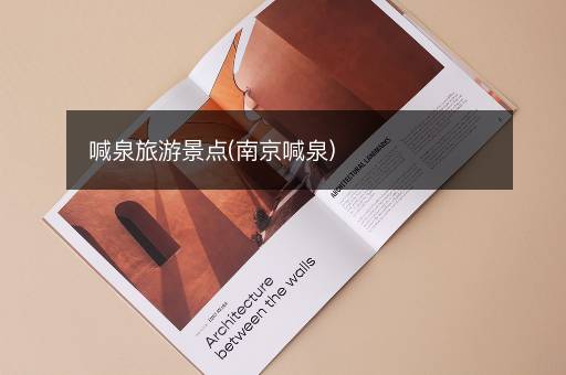 喊泉旅游景点(南京喊泉)