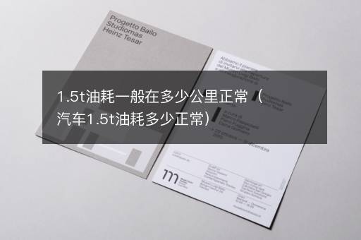 1.5t油耗一般在多少公里正常（汽车1.5t油耗多少正常）