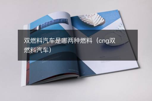 双燃料汽车是哪两种燃料（cng双燃料汽车）
