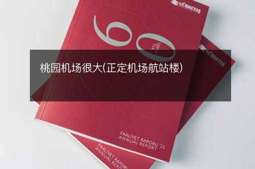 桃园机场很大(正定机场航站楼)