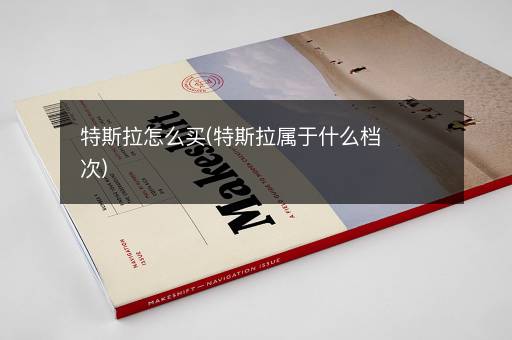 特斯拉怎么买(特斯拉属于什么档次)